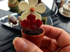 -养云安缦吧THE BAR