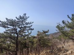 -石老人观光园