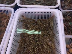 -锦绣大地生鲜食品厅(巨山路店)