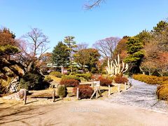 -名古屋城