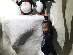 -南昌海洋公园