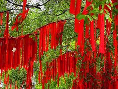 -西双版纳勐泐文化旅游区