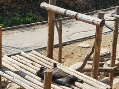 -大连森林动物园