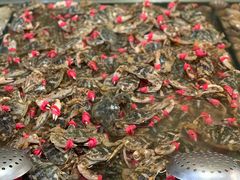 -孙家码头海鲜自助美食城