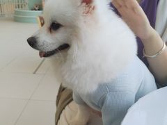 -怪兽屋·羊驼·猫咖·狗咖(俊华广场店)