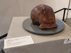 -北京周口店北京人遗址博物馆