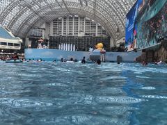 -环球中心海洋乐园