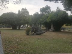 -汉水公园