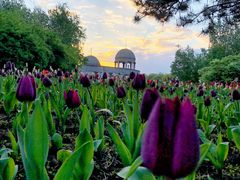 -长春公园(普阳街道)