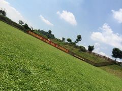 -良成狗狗乐园