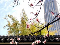 -江宁织造博物馆