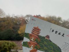 -黄鹤楼公园(黄鹤楼)