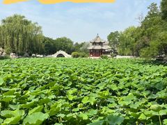 -莲池书院博物馆