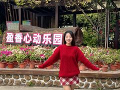 -盈香心动乐园