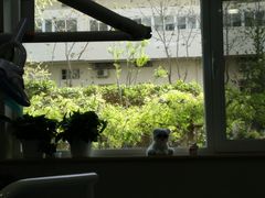 -北京地坛口腔门诊部