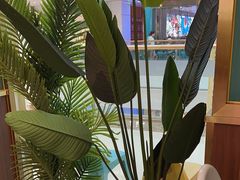 -顺粤楼·粤菜·点心(融创茂店)