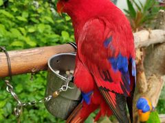 -南宫五洲植物乐园