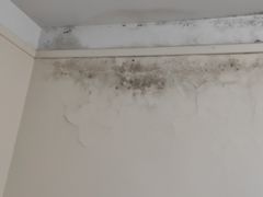 -西河大酒店(华新现代职业学院店)