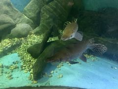 -苏州海洋馆