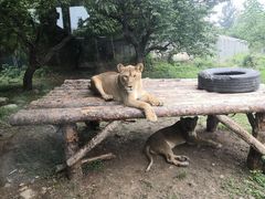 -西安秦岭野生动物园