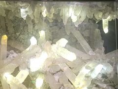 -湖南省地质博物馆