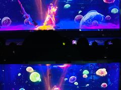 -顺德南宏海立方海洋公园