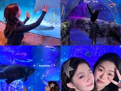 -沈阳海洋探索中心