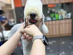 -宠宠熊宠物美容(星湖街店)