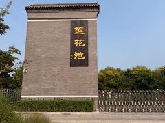 -莲花池公园