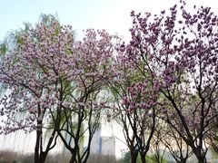 -白塘生态植物园