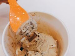 -iceason爱茜茜里·意大利健康冰淇淋(骑龙巷店)