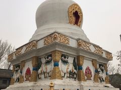 -护国法轮寺