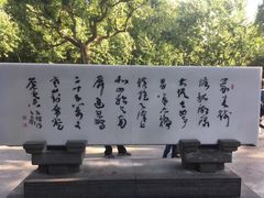 -苏堤停车场