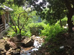 -火炉山森林公园