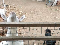 -杭州师范大学(下沙校区)