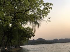 景点-柳浪闻莺公园