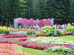 -深圳仙湖植物园