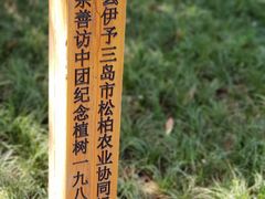 -西安青龙寺遗址景区