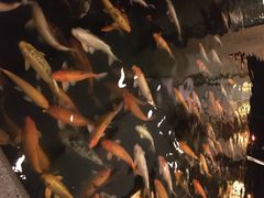 威尼斯酒店-深圳威尼斯英迪格酒店