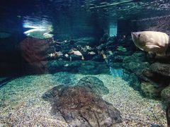 -绍兴梦享海洋公园