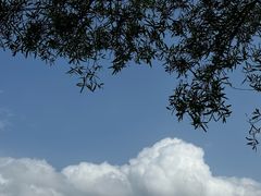 -海口火山口国家地质公园