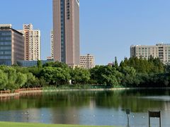 -黄兴公园