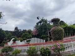 -东莞植物园