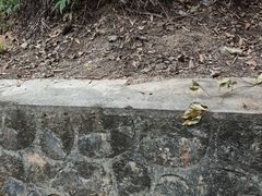 -田心森林公园