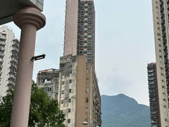 -香港大学