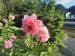 -淮扬韵(市政府汉神店)