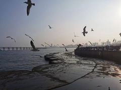 -星海广场