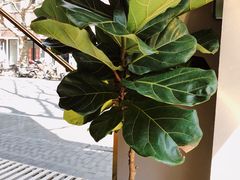 -KYO COFFEE(胶州路店)