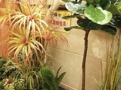 -汉宫汤泉汗蒸洗浴(五四广场店)