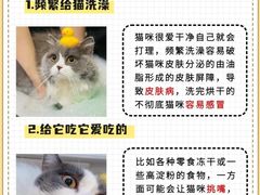 -宠物寄养训练学校